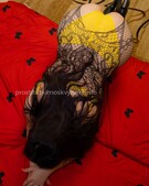 Анкета проститутки Марго - метро Тверской, возраст - 28